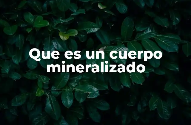 Que es un Cuerpo Mineralizado