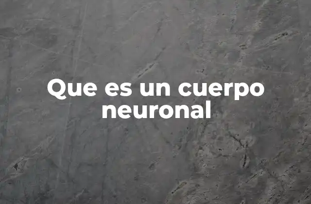 Que es un Cuerpo Neuronal