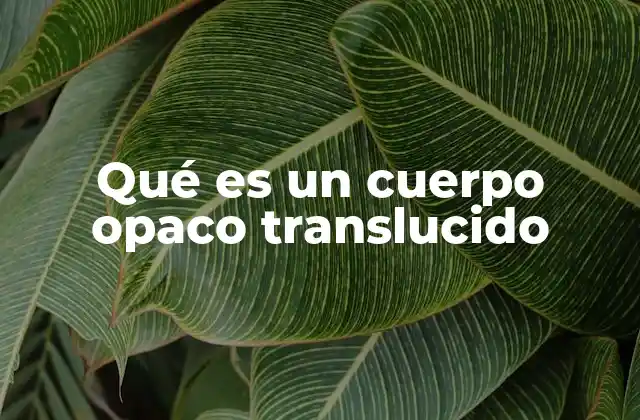 Qué es un Cuerpo Opaco Translucido