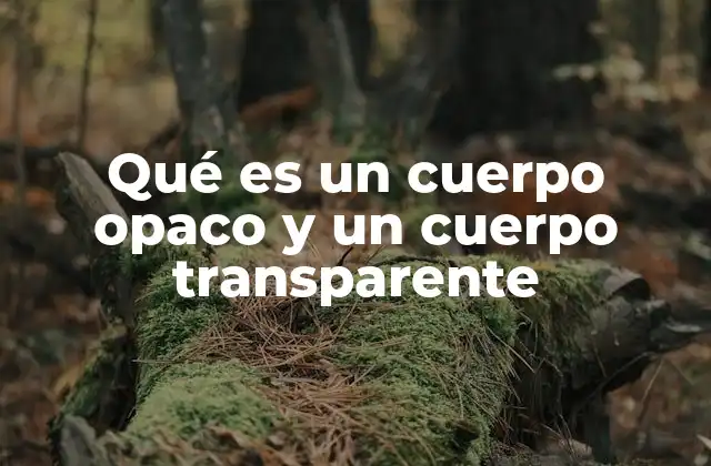 Qué es un Cuerpo Opaco y un Cuerpo Transparente