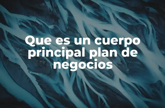 Que es un Cuerpo Principal Plan de Negocios