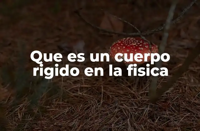 Que es un Cuerpo Rigido en la Fisica
