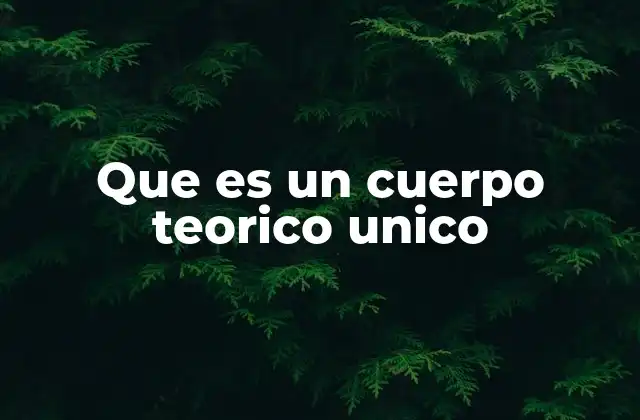 Que es un Cuerpo Teorico Unico