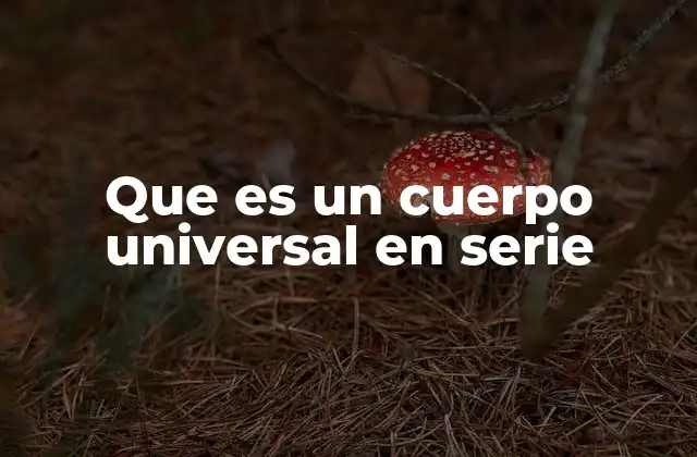 Que es un Cuerpo Universal en Serie