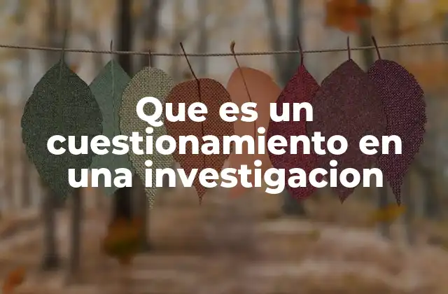 Que es un Cuestionamiento en una Investigacion
