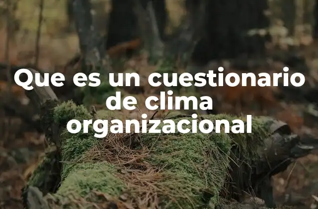 Que es un Cuestionario de Clima Organizacional