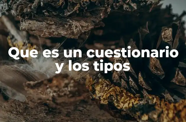 Que es un Cuestionario y los Tipos
