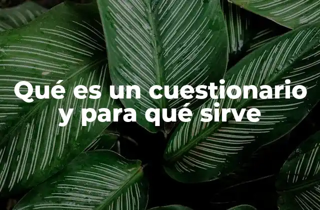 La importancia de los cuestionarios en la toma de decisiones
