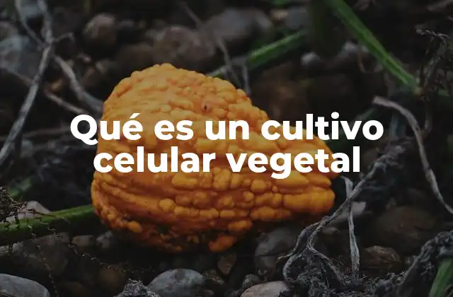 Qué es un Cultivo Celular Vegetal