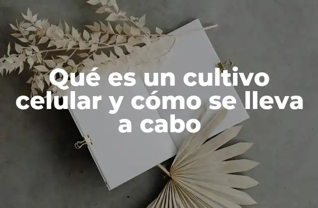 Qué es un Cultivo Celular y Cómo Se Lleva a Cabo