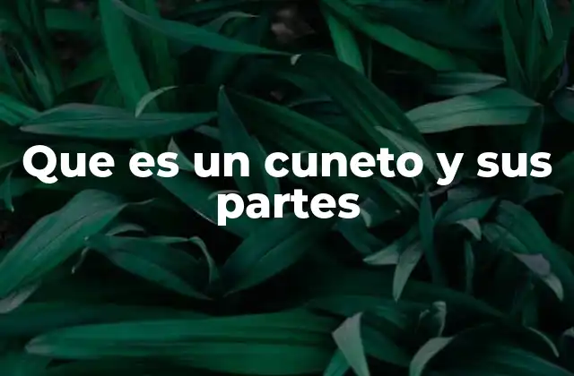 Que es un Cuneto y Sus Partes