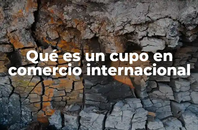 Instrumentos de regulación en el comercio internacional