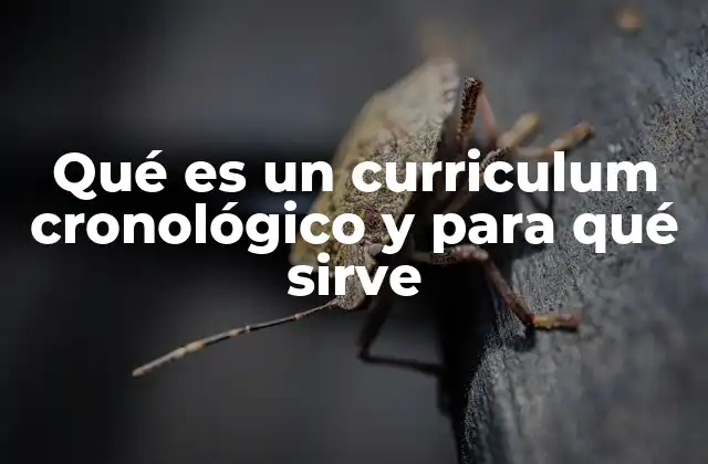 Qué es un Curriculum Cronológico y para Qué Sirve