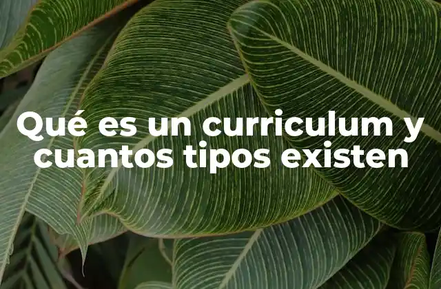 Qué es un Curriculum y Cuantos Tipos Existen