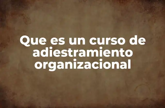 Que es un Curso de Adiestramiento Organizacional