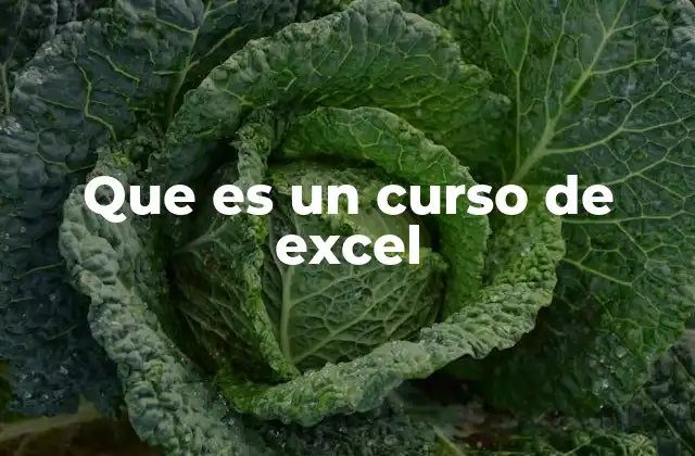 Que es un Curso de Excel