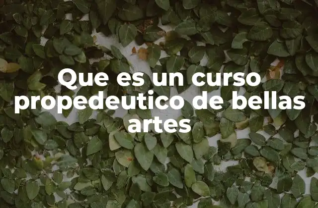 Que es un Curso Propedeutico de Bellas Artes