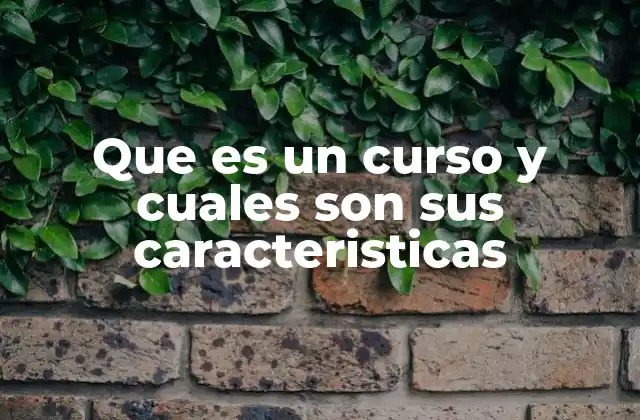 Que es un Curso y Cuales Son Sus Caracteristicas