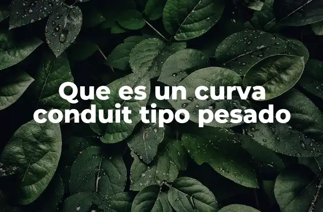Que es un Curva Conduit Tipo Pesado