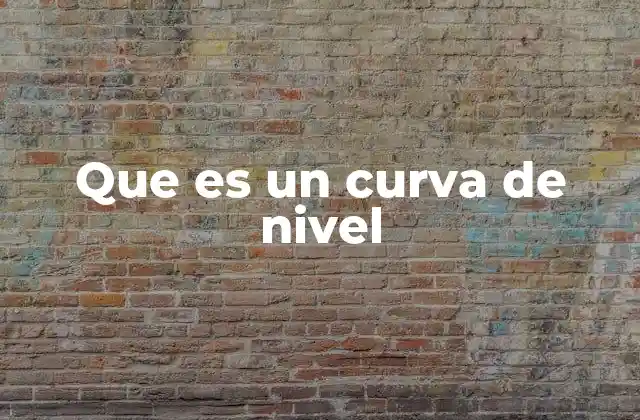 Que es un Curva de Nivel