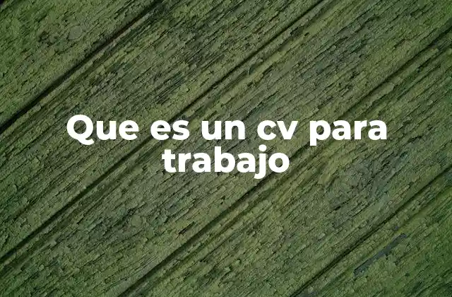Que es un Cv para Trabajo