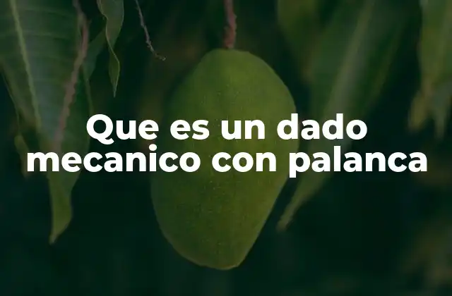 Que es un Dado Mecanico con Palanca