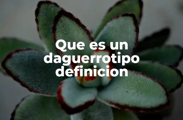 Que es un Daguerrotipo Definicion