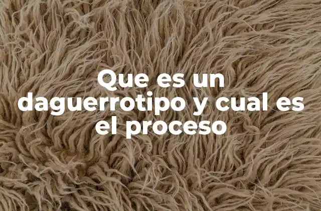 Que es un Daguerrotipo y Cual es el Proceso