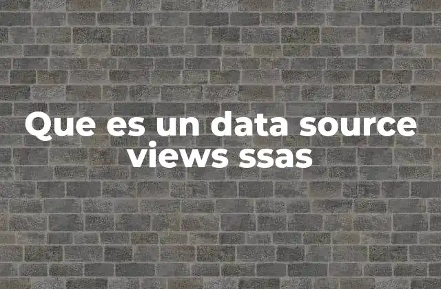 Que es un Data Source Views Ssas