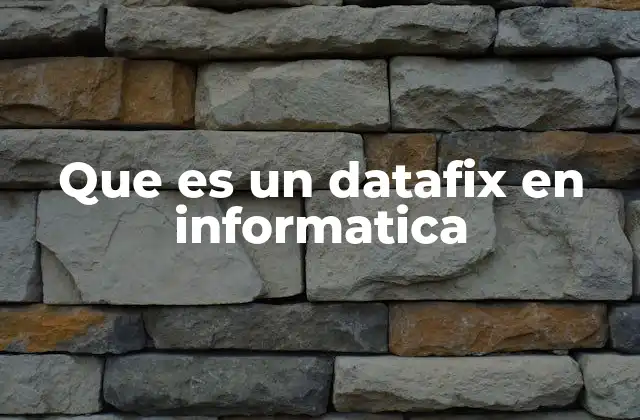 Que es un Datafix en Informatica