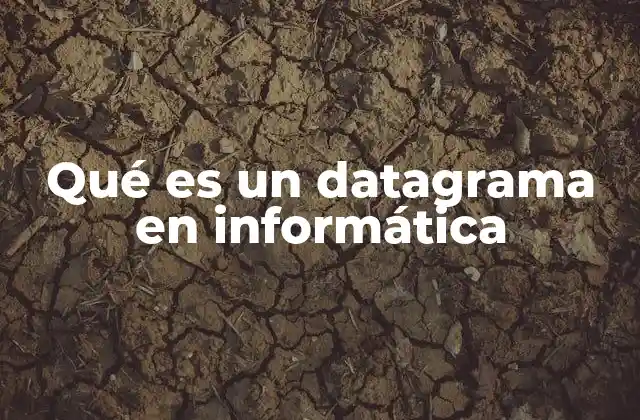 Qué es un Datagrama en Informática