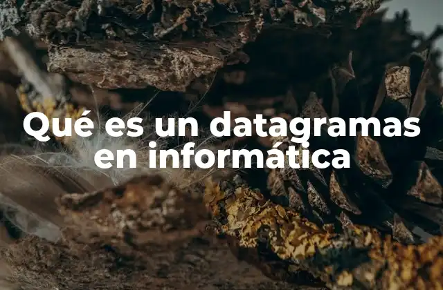 Qué es un Datagramas en Informática