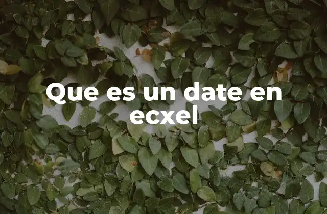 Que es un Date en Ecxel