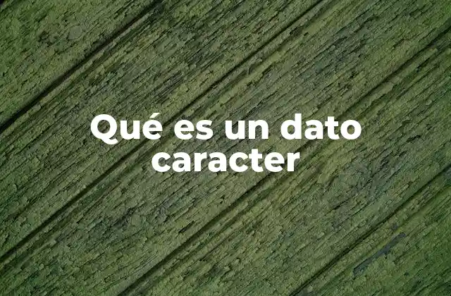 Qué es un Dato Caracter