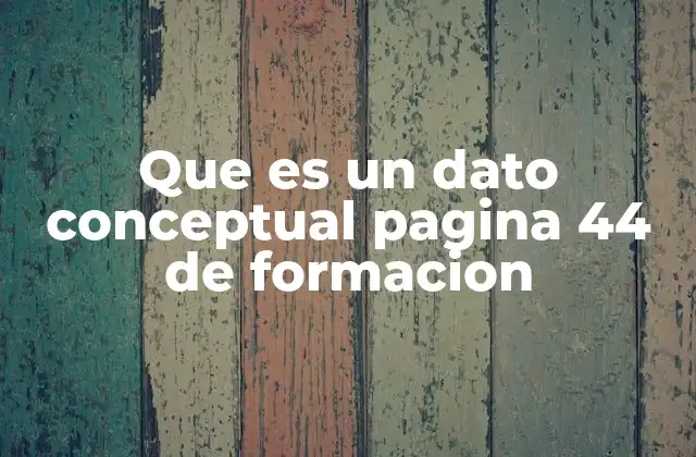 Que es un Dato Conceptual Pagina 44 de Formacion