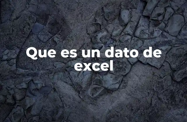 Que es un Dato de Excel