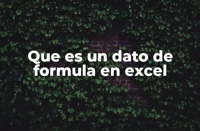 Que es un Dato de Formula en Excel