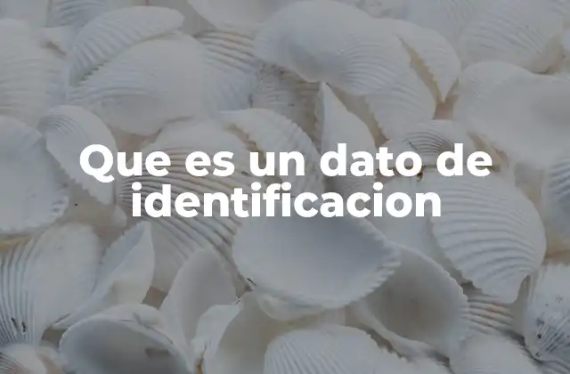 La relevancia de los datos en la identificación digital