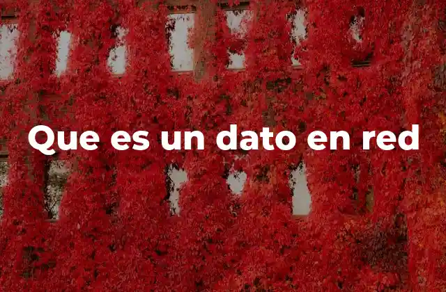 Que es un Dato en Red