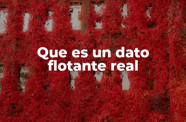 Que es un Dato Flotante Real