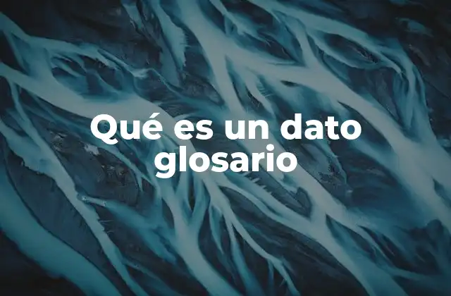 Qué es un Dato Glosario