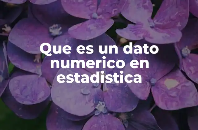 Tipos de datos en estadística y cómo se clasifican