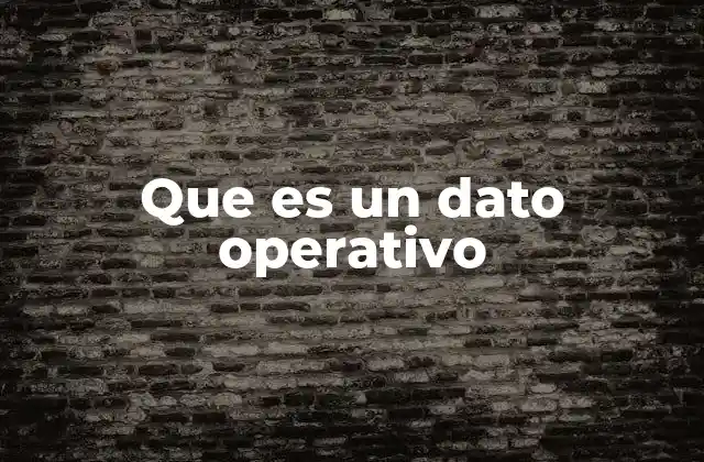 Que es un Dato Operativo