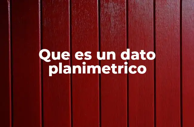 Que es un Dato Planimetrico
