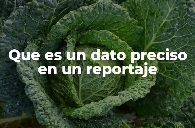 Que es un Dato Preciso en un Reportaje