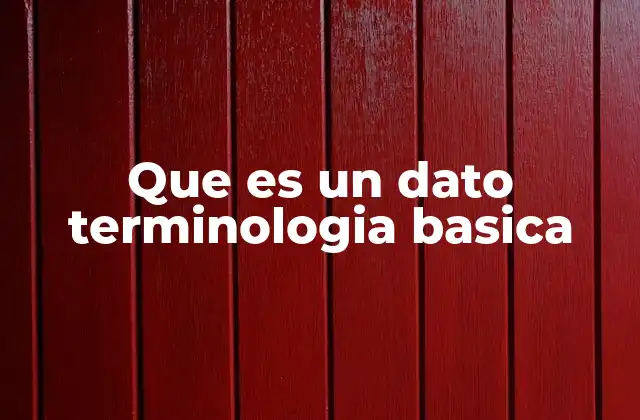 Que es un Dato Terminologia Basica