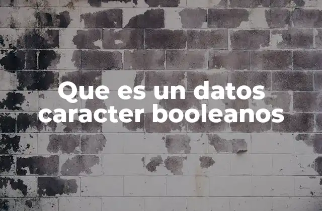 Que es un Datos Caracter Booleanos