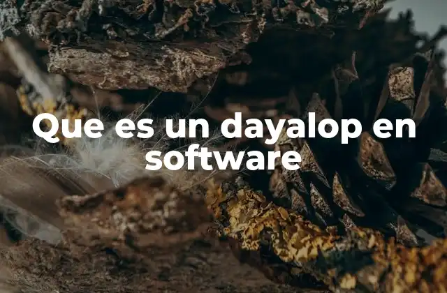 Que es un Dayalop en Software