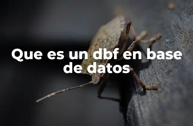 Que es un Dbf en Base de Datos