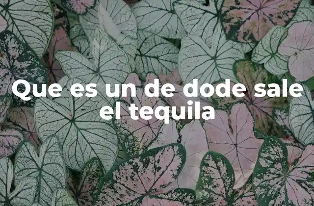 Que es un de Dode Sale el Tequila